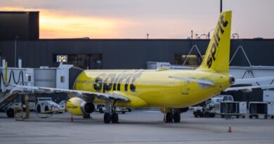 We’ll take it: a TikToker rallies pledges to buy Spirit Airlines after its abrupt weekend collapse