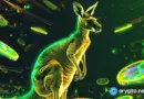 Australia considers replacing 50% capital gains tax discount on crypto