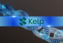 After Disputing LayerZero Claims, KelpDAO Prepares Chainlink CCIP Migration