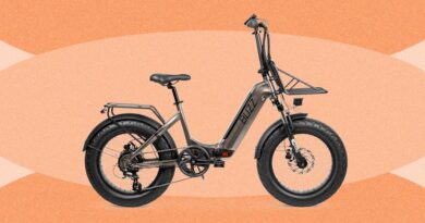 Centris 2 Folding Ebike Review: Compact, Sturdy, Budget-Friendly