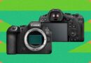 Canon EOS R6 Mark III Review: A Serious Upgrade