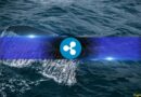 Why Ripple (XRP) Accumulation Continued Despite Market Fear and Liquidations