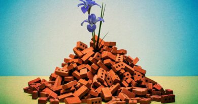 Gaza Is Rebuilding With Lego-Like Bricks Made From Rubble