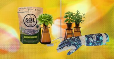 15 Best Gifts for Plant Lovers and Gardeners (2026)