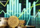 Canary XRP ETF Reports 213 Million XRP Holdings Worth $305 Million