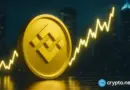 BNB price targets $820 after cup-and-handle breakout