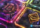 Strategy and BitMine pause as 4 firms add $47.5m in Bitcoin