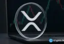 XRP whale collects $224,500 on low volatility bet