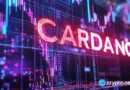 ADA bull rally back on? Cardano indicator flips after 73% crash