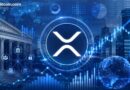 Evernorth Says XRP’s Real Story Is Institutional Plumbing