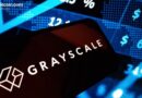 Grayscale Names 4 Crypto Networks Poised to Gain From CLARITY Act