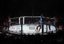 UFC 2026 livestream: How to watch UFC for free