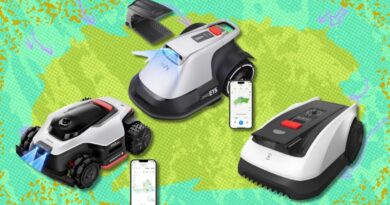 Best robot lawn mower deals: Take up to 45% off from brands like Eufy, Dreame, and Ecovacs