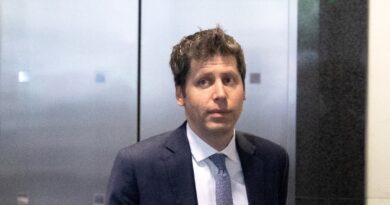 Sam Altman’s testimony at Elon Musk’s OpenAI trial takes odd turn