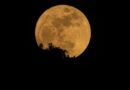 Blue Moon May 2026: Why the May full moon is so rare.