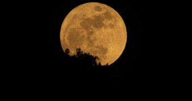Blue Moon May 2026: Why the May full moon is so rare.