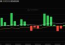 Bitcoin ETF News: BlackRock’s Bitcoin ETF Just Had Its Worst Day Ever: Should Beginners Panic?