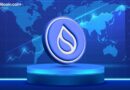 Sui Network Suffers 6-Hour Outage Following 1.72 Upgrade Bug