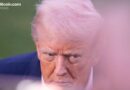 Trump Executive Order Pushes Digital Assets Toward Fed Payment Access