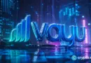 Vayu CEO on crypto billing leakage