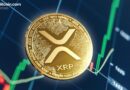 XRP ‘North Star’ Thesis Gains Momentum Beyond Ripple