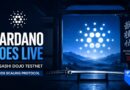 Cardano Goes Live With Musashi Dojo