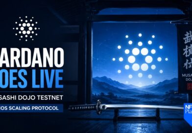 Cardano Goes Live With Musashi Dojo