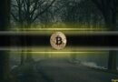Is This the Hidden Reason Behind Bitcoin’s $23K Collapse in Just 6 Weeks?