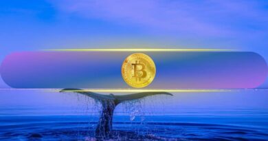 Bitcoin Dips Below $64K Again: Here’s How Whales Reacted