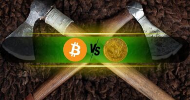 Bitcoin Didn’t Lose to Gold, the Rotation Story Is Wrong: Analyst