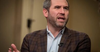 Ripple’s Garlinghouse Fires Back After Jamie Dimon Targets Coinbase and CLARITY ACT