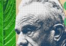 The Kratom Civil War Is Heating Up, and MAHA Has Picked a Side