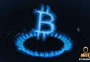 Zcash crisis deepens as David Schwartz explains “lonely” coins