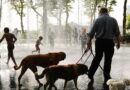 New York Is About to Feel Hotter Than Phoenix