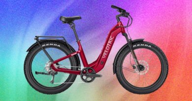 Velotric Nomad 2 Fat Tire Ebike, Tested and Reviewed (2026)