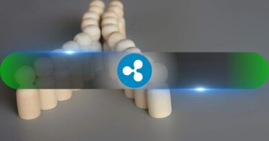 XRP’s Biggest Warning Sign Is Still Flashing Despite Easing Whale Activity