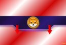 Shiba Inu (SHIB) Crashes to a 5-Year Low, Yet Makes an Unexpected Comeback: Details