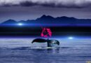Uniswap Whale Activity Hits 7-Month Peak Following $100 Prediction