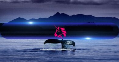 Uniswap Whale Activity Hits 7-Month Peak Following $100 Prediction