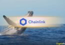 LINK Whales Move Millions to Binance Before Key Banking News