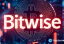 AI stocks are draining crypto’s momentum, Bitwise warns