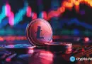 Litecoin whales accumulate as LitVM debate puts LTC back in focus