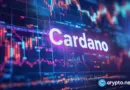 Why Cardano’s social activity surges as ADA crashes