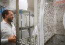Google seeks permission to release millions of mosquitos in California, Florida