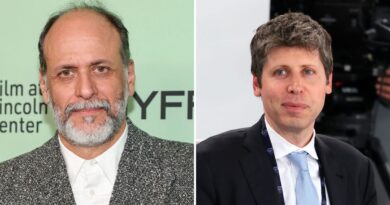 Amazon dropped Luca Guadagnino’s OpenAI film, months after partnering with OpenAI