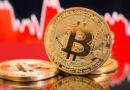 Bitcoiners Stand Firm Even if Bitcoin Crashes to $0