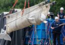 Inside the Wild Rescue Mission That Took 4 Beluga Whales to Chicago