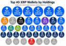 55.84 Billion XRP Appears Across the Top 40 Wallets, but Escrow Changes the Picture