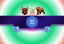Where Is Cardano’s Price Going Next?