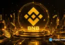 BNB Chain takes 61.7% of Franklin Templeton’s Benji platform